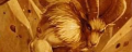Thumbnail for version as of 17:37, 25 September 2024